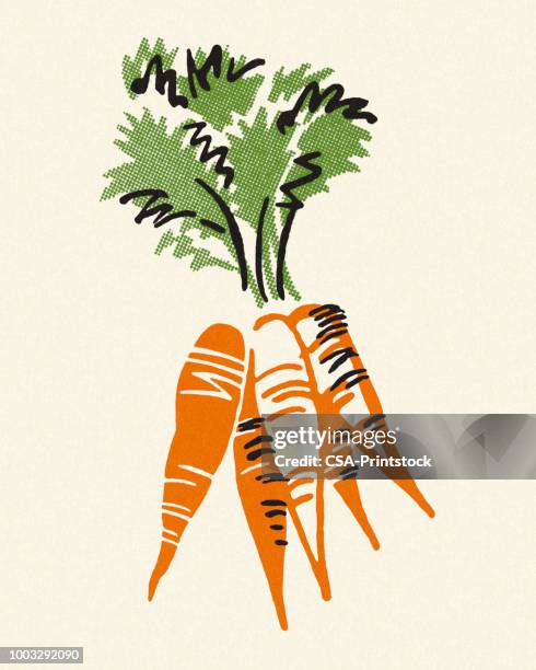 bunch of carrots - root vegetables white background stock illustrations