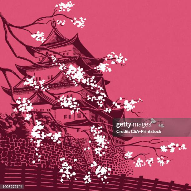 branch in front of a pagoda - japan blossom stock illustrations