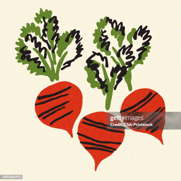 three radishes - radish stock illustrations