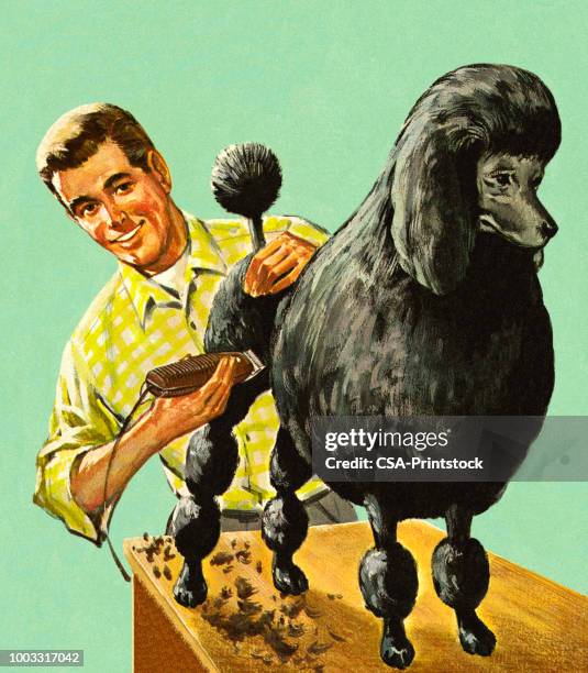 man trimming a poodle - poodle stock illustrations