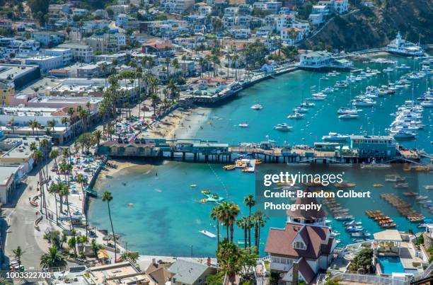 catalina island - insel catalina island stock-fotos und bilder