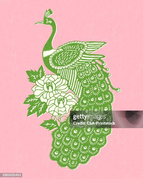 peacock - peacock tail stock illustrations
