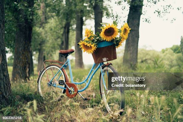 vintage bicycle outdoors - bicycle flowers stock pictures, royalty-free photos & images