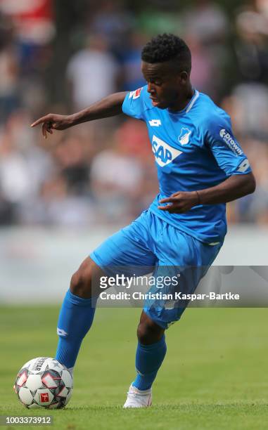 Alfons Amade of Hoffenheim drives the ball during the pre-saeson friendly match between Queens Park Rangers and TSG 1899 Hoffenheim on July 21, 2018...