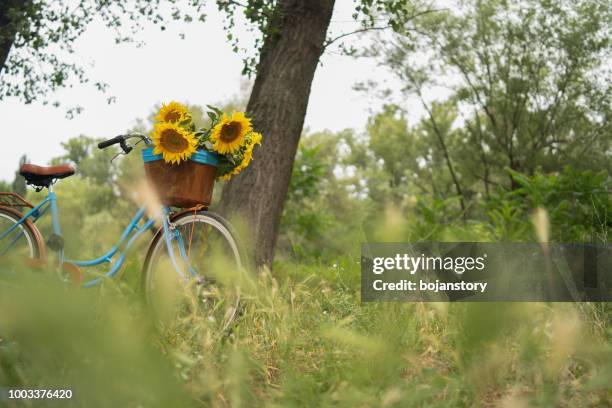 ビンテージ自転車アウトドア - bike flowers ストックフォトと画像