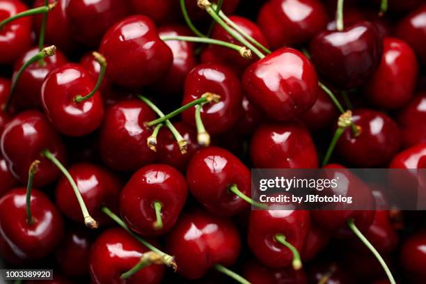 ciliegie di stagione - cherry stock pictures, royalty-free photos & images