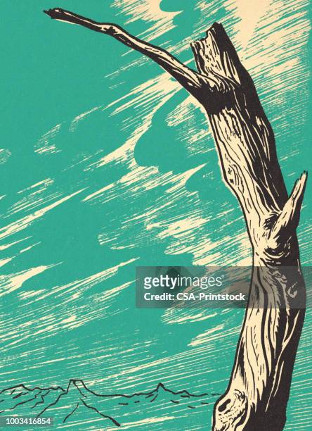bare tree - wind trees stock illustrations