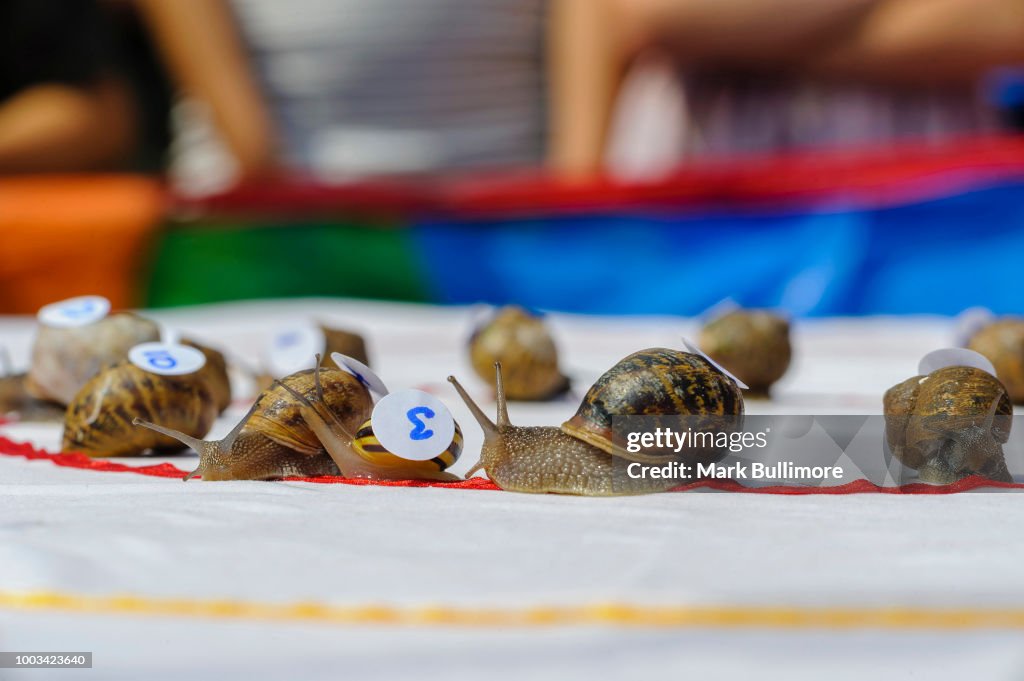 Snail Racing Team The first heat of the World Championship Snail Racing gets underway ...