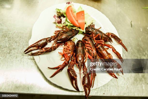 In the kitchen is a ready to serve plate of red swamp crayfish that were caught in waters in and around Berlin at Fisch Frank fish restaurant on July...