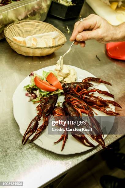 Cook is preparing a plate of red swamp crayfish that were caught in waters in and around Berlin at Fisch Frank fish restaurant on July 22, 2018 in...