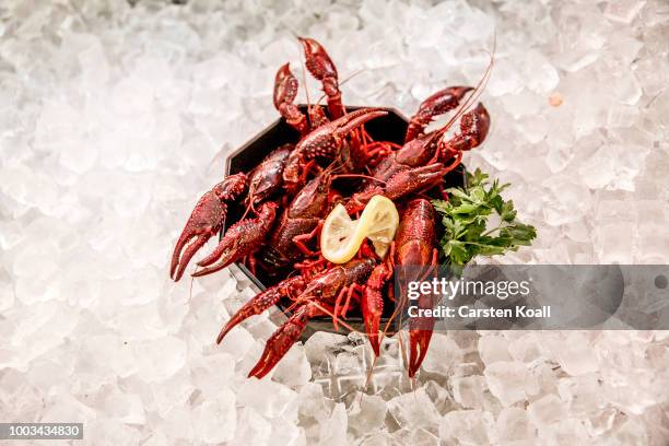 On ice in a showcase stays a bowl with swamp crayfish that were caught in waters in and around Berlin at Fisch Frank fish restaurant on July 22, 2018...