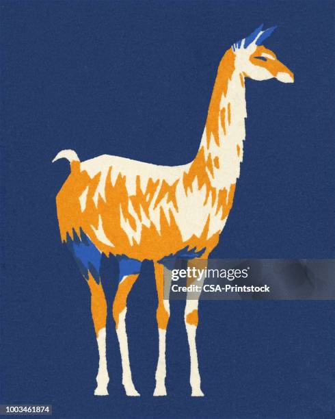 flame - llama stock illustrations