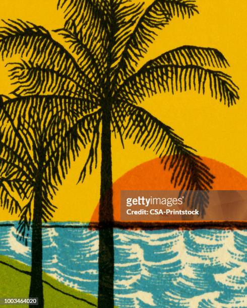 palm trees and beach - caribbean stock illustrations
