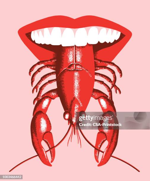 langusten-zunge - crayfish seafood stock-grafiken, -clipart, -cartoons und -symbole