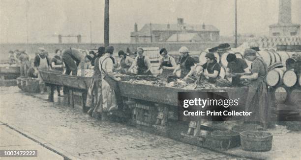 An Important Part of the Industry. Scottish girls busy gutting at Yarmouth', 1937. From Shipping Wonders of the World, Vol. II, edited by Clarence...