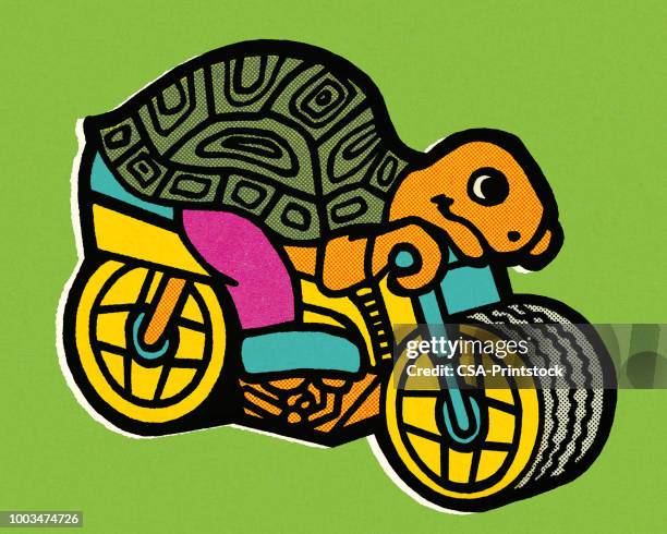 turtle riding a motorcycle - tortoise shell stock illustrations