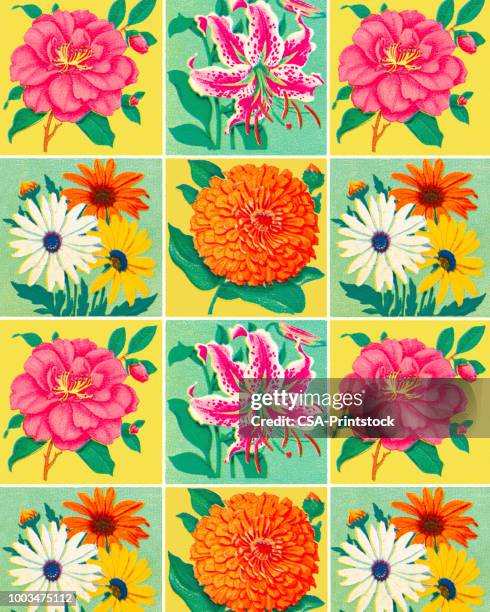 flowers - daisy background stock illustrations