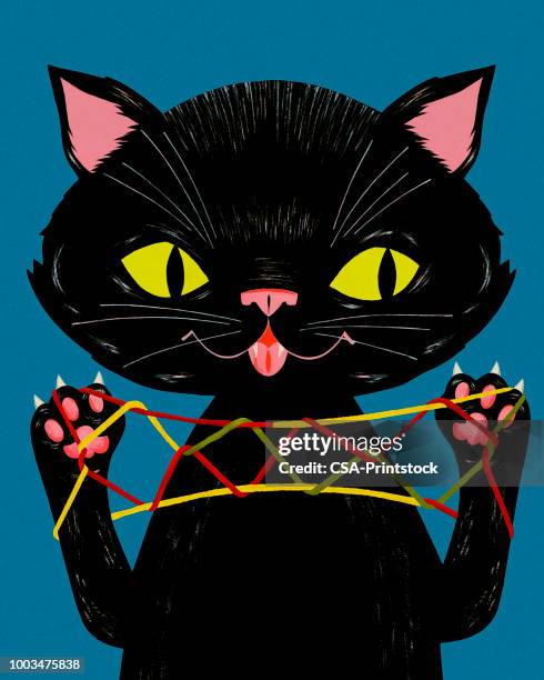 Cat And String 308 Cat Playing With String Stock Photos, High-Res Pictures, and Images ...