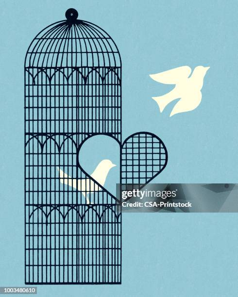 dove flying out of a bird cage - birdcage stock illustrations