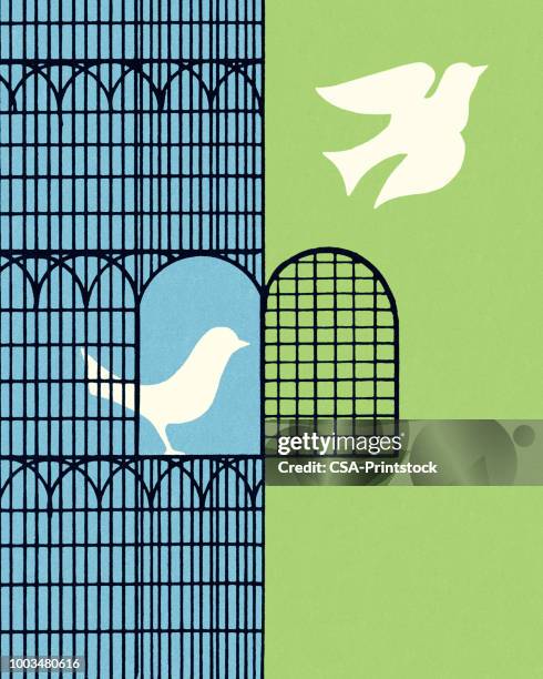 illustrazioni stock, clip art, cartoni animati e icone di tendenza di colomba che vola fuori da una gabbia per uccelli - fuggire