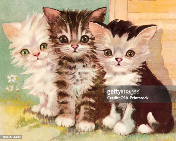 three kittens - baby cat stock illustrations