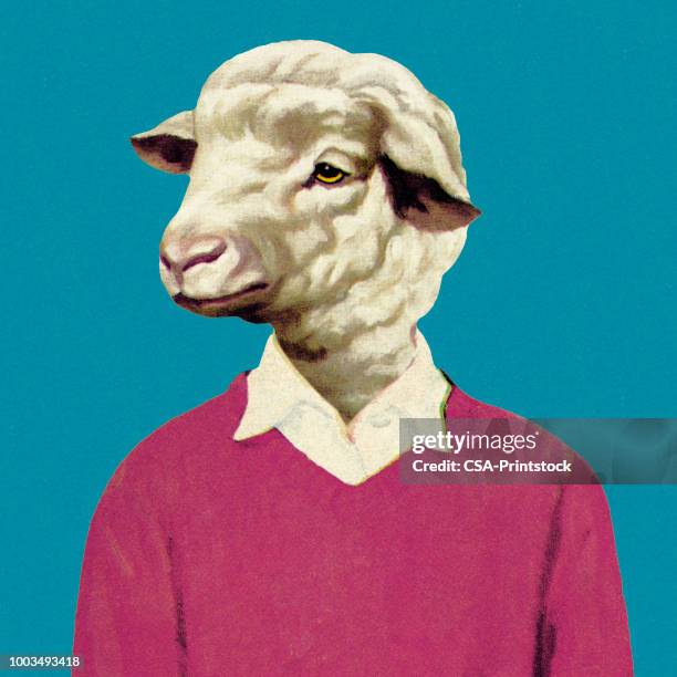 ilustraciones, imágenes clip art, dibujos animados e iconos de stock de hombre con cabeza de oveja - cardigan sweater