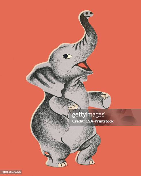 elephant - vintage circus elephant stock illustrations