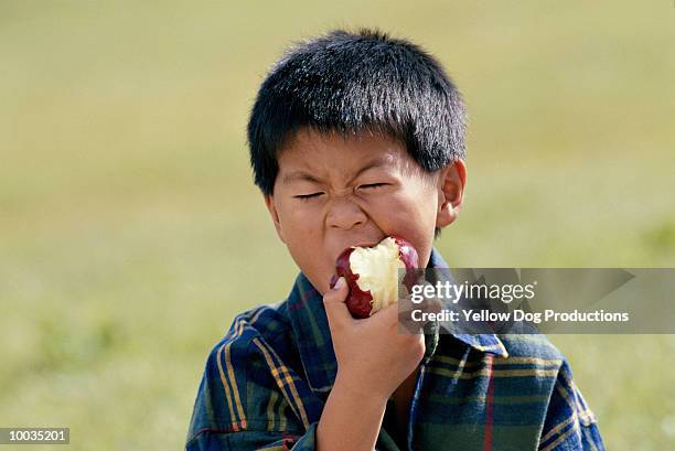 asian boy eating apple - pomme croquée photos et images de collection