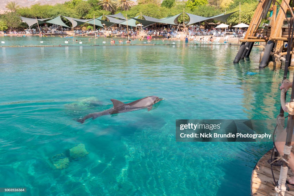 Dolphin Reef, Eilat, Israel