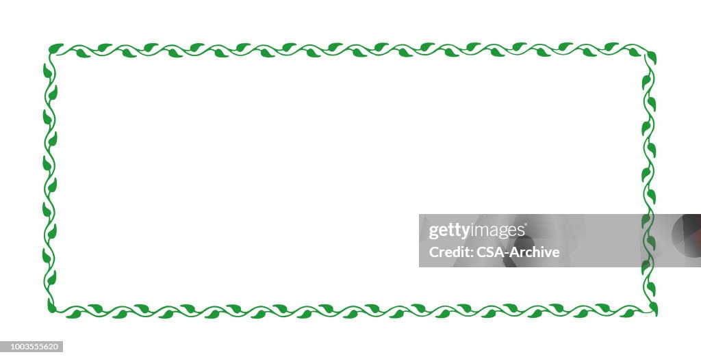 Vine Border