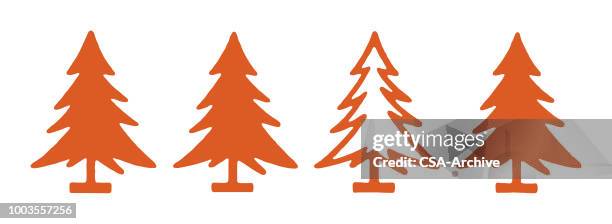 four pine trees three filled one open - pine forest stock illustrations
