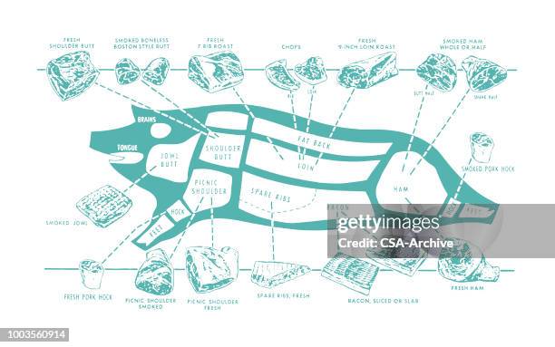 metzger-diagramm eines schweins - schweinefleisch stock-grafiken, -clipart, -cartoons und -symbole