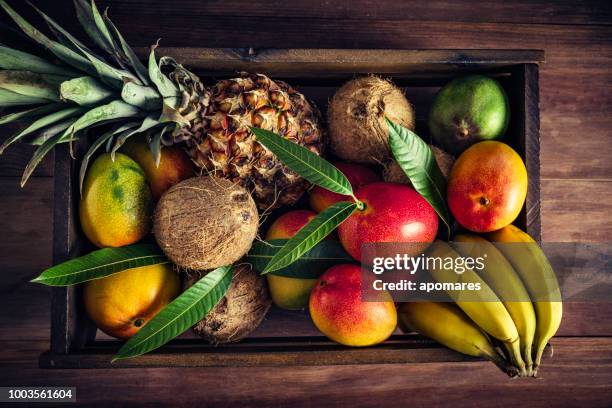 holzkisten mit verschiedene tropische früchte in rustikalen küche. natürliche beleuchtung - mango coconut stock-fotos und bilder