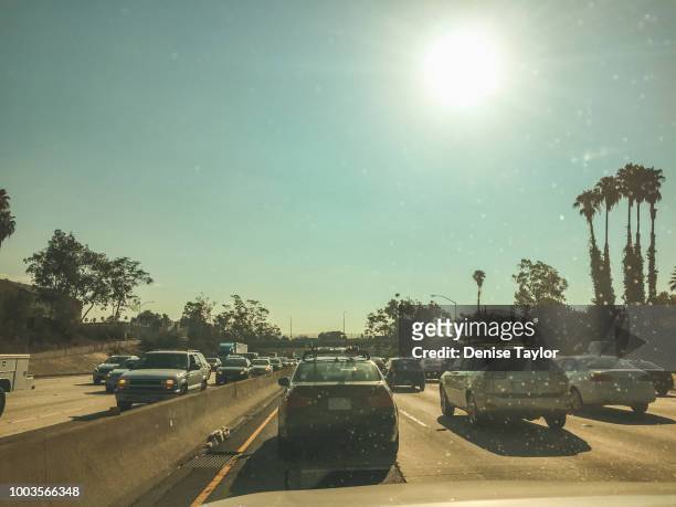 hot summer drive - day of the dead in los angeles stockfoto's en -beelden