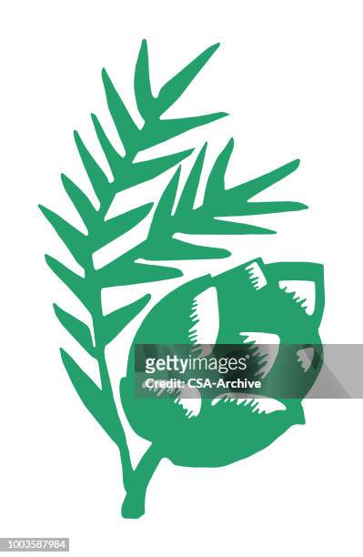pine cone and branch - pine cone stock illustrations