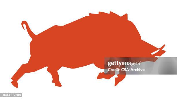 wild boar - wild boar stock illustrations