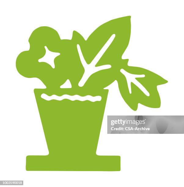 houseplant - empty flower pot stock illustrations
