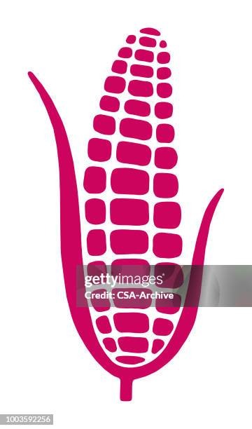 ilustraciones, imágenes clip art, dibujos animados e iconos de stock de corncob - pop corn