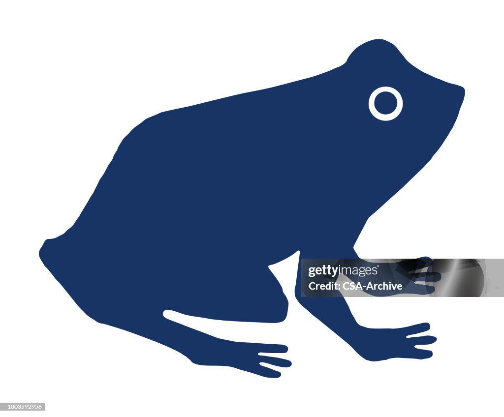 Vector Frog Looking In Frog High-Res Vector Graphic - Getty Images