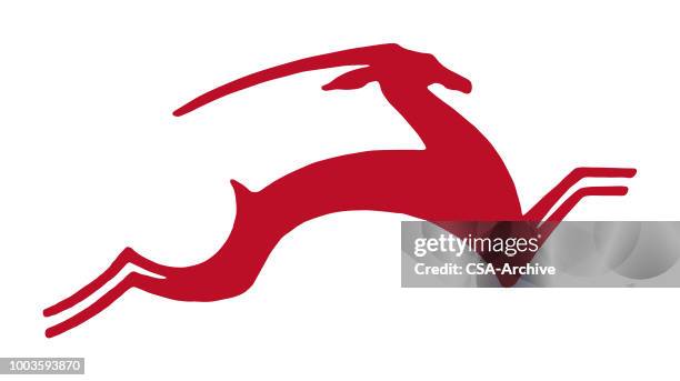 gazelle - gazelle stock illustrations