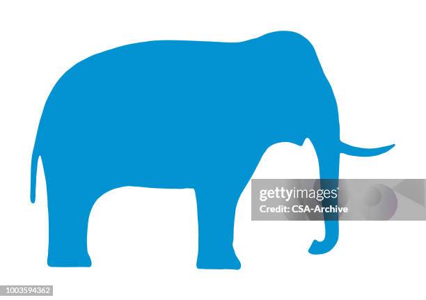 elephant - elephant trunk stock illustrations