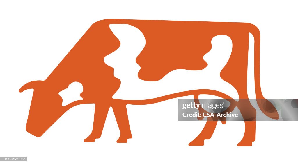 Cow