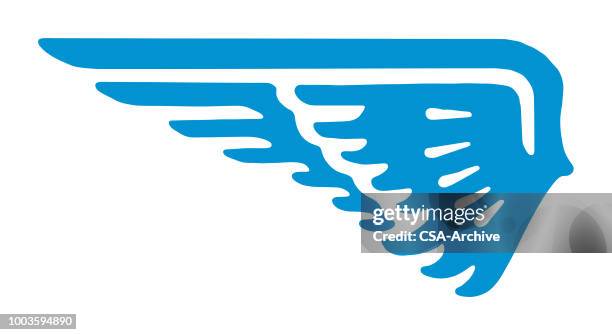 illustrazioni stock, clip art, cartoni animati e icone di tendenza di ala - ala di animale