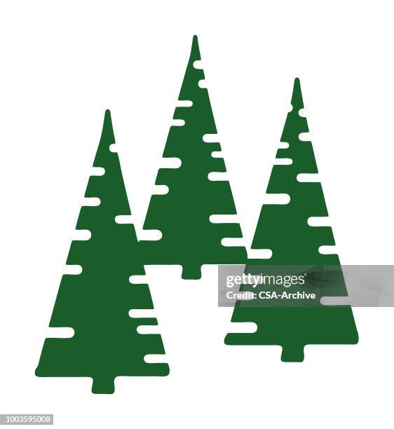 three trees - pine forest stock illustrations