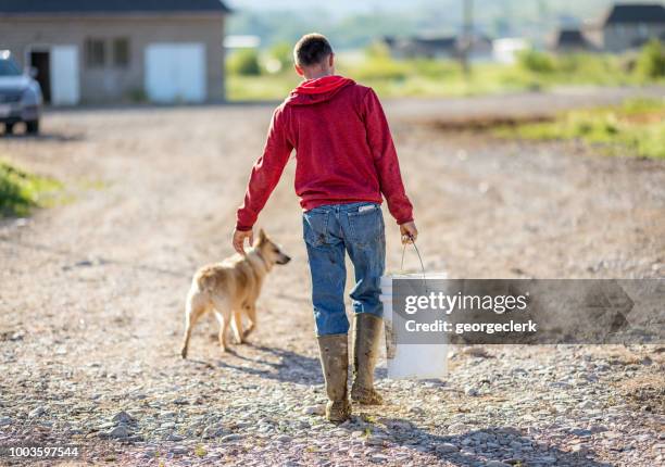 campesino joven llevando una cubeta de alimento - via láctea fotografías e imágenes de stock