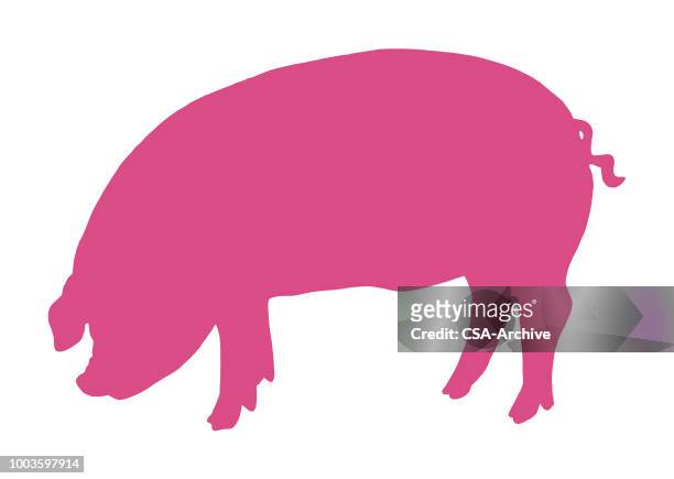 ilustraciones, imágenes clip art, dibujos animados e iconos de stock de cerdo - pig
