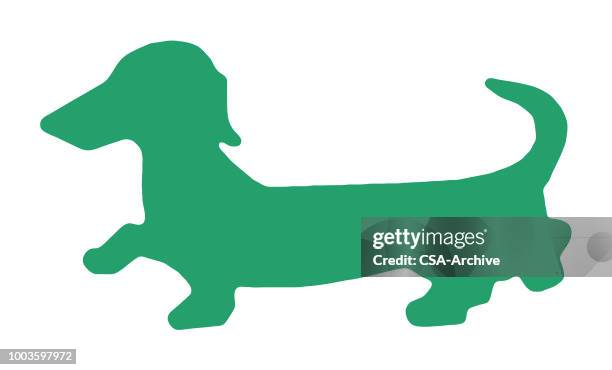 dachshund silhouette - hound isolated stock illustrations