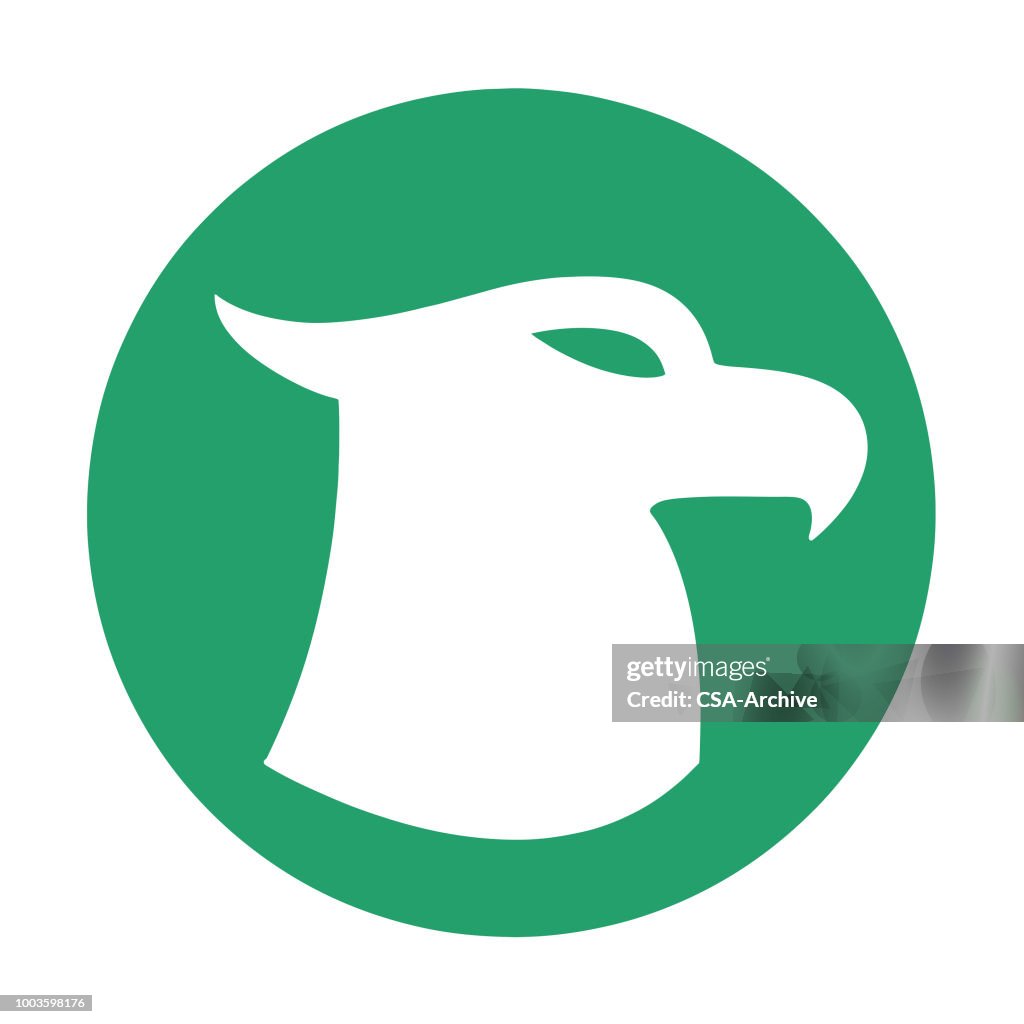 Hawk Silhouette