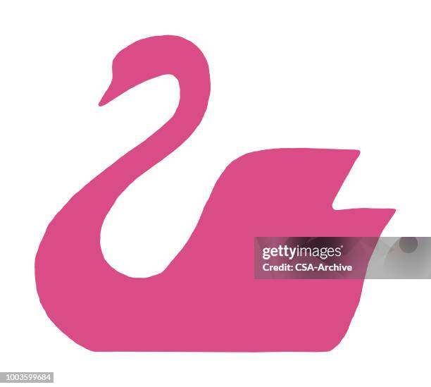 swan - schwan stock-grafiken, -clipart, -cartoons und -symbole