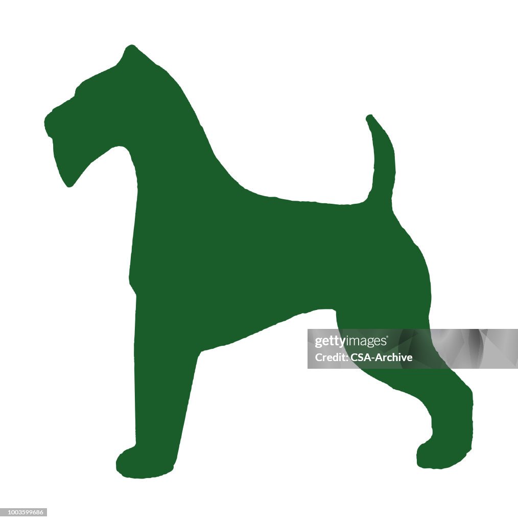 Silhouette of Schnauzer Dog